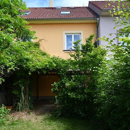 Domov Pro 8 Hostu Ve Meste * Κάρλοβι Βάρι